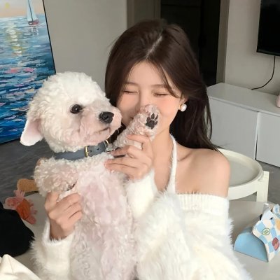 信天翁